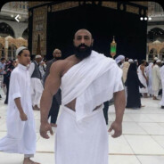 Hamid Reza Pourmohammadi avatar