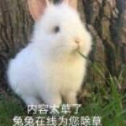 乐善好施谋士贾