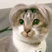 坤坤练习两年半