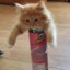 prongles