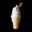 50c Cone