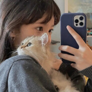 玩明日方舟玩的