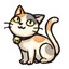 kitty cat