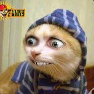 Matys koszary.eu Borowski