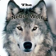 Nebur Wolf's avatar