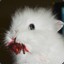 DeadRebbit