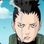 shika33