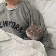 我的秘密就是还喜欢你