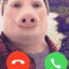 John Pork