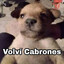 !valen&quot;