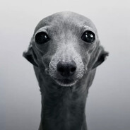 gelepi's avatar