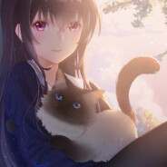 AТОPCKИЙ КОТИK