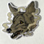 Smokin&#039; Coyote
