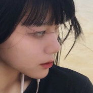 本杰明妙清狐狸！