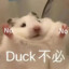 哈哈脸滚