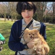 悲伤玉米排骨汤