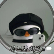 荔枝还是珍珍好