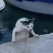 誓言是一场时差的雨