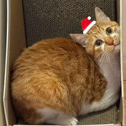 医死人越多医术越高明