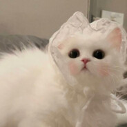 闪闪发光的里安