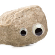 Guy With a Rock