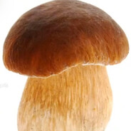 Зомби сухари