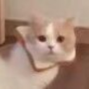 地平线小姐你也不想纽特在学校被欺负吧