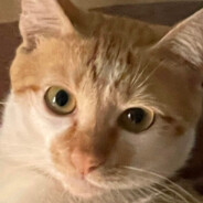 I LOVE JAPANESE DENIM