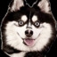Houdini