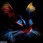 CoolKattz