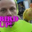 Bird UP!