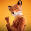 Mr. Fox