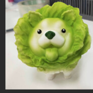 可怜无助的菜狗