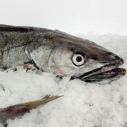 złocisty morszuk wędzony