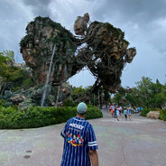Avatar snapshot