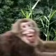 满山猴子我腚最红