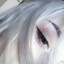 YourKirusha