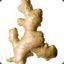 ginger1113