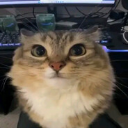 SeraHex Steam avatar
