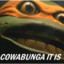 Cowabunga.It.Is