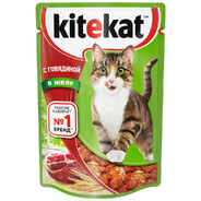KiteKat