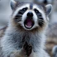 ArtyomRex01 avatar