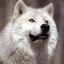 White_wolf