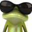 frogge