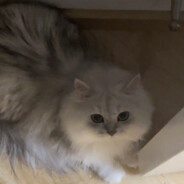 只射阳光射不进的地方