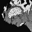 SUWWX.Q