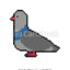 Pigeon