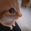 Mon1t0r
