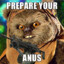 Prepare your anus