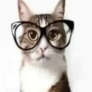 Avatar of dkflgjpioertkl;vcm,.zxjklasd;'o